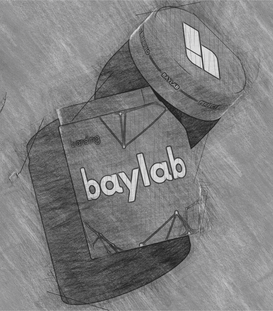 baylab mockup sketch